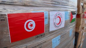 14 tons of Tunisian aid arrives in Gaza via Egypt