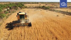 Morocco is the second largest importer of Russian wheat after Egypt