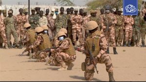 70 militants were killed in a military operation by the Chadian army