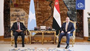 Egyptian-Somali discussions regarding the security of the Horn of Africa and the Red Sea