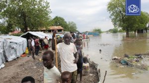 Flood crisis in Sudan and Central Africa kills dozens