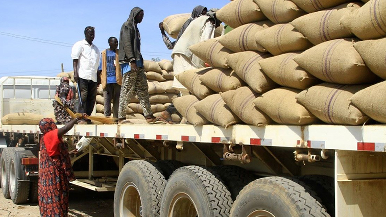 Sudan opens Adre border crossing to send aid to Darfur