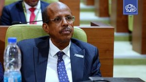 الاتحاد الإفريقي يدعو إلى تحرك دولي عاجل لمواجهة تصاعد الإرهاب في مالي