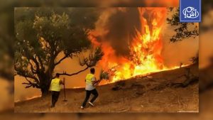 حرائق غابات تهدد تيبازة غرب الجزائر وإجلاء 50 عائلة احترازياً
