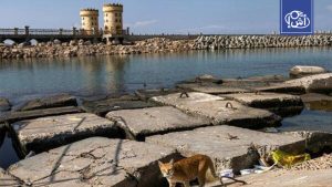 حطام سفينة رومانية عمرها ألفي عام يظهر قبالة الإسكندرية