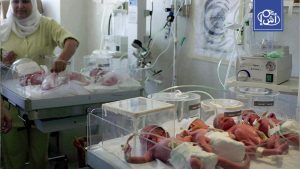 تقرير أممي يرصد تباين النمو السكاني عربياً ومصر في الصدارة