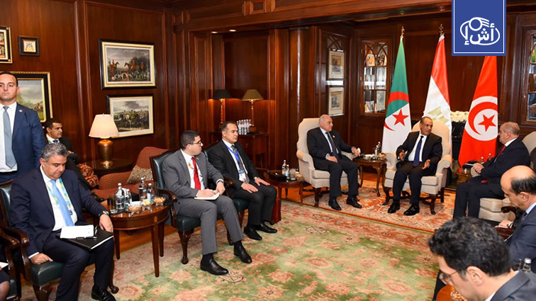 مصر والجزائر وتونس تجدد دعمها لإجراء الانتخابات وتوحيد المؤسسات في ليبيا