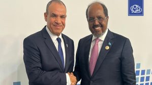 وزير الخارجية المصري يجدد التأكيد على دعم بلاده للصومال واستقرار القرن الإفريقي