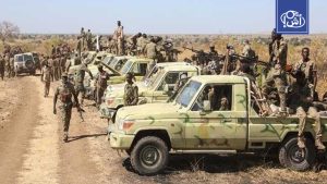 محللة سياسية وناشطة سودانية لـ”أخبار شمال إفريقيا”: تحركات أمريكية جديدة لإحياء مسار السلام في السودان (مقابلة)