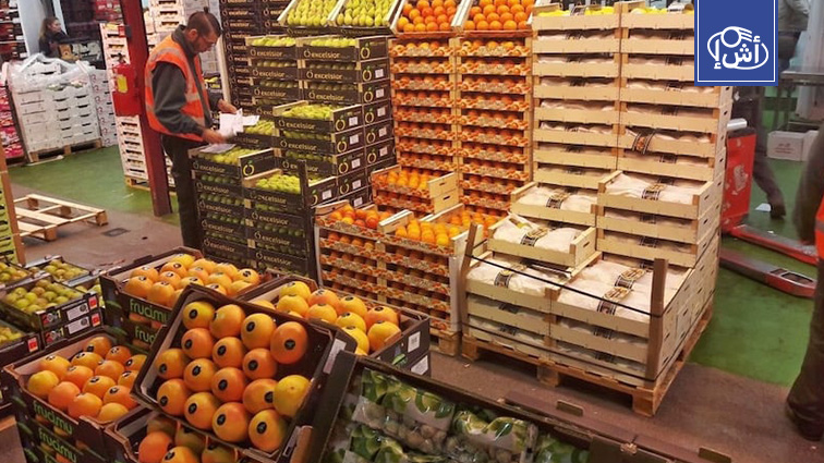 المغرب يعزز هيمنته على سوق الفواكه والخضار الإسبانية بنمو قياسي