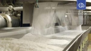 وزير التموين المصري: تحقيق الاكتفاء الذاتي من السكر في 2025 وزيادة توريد القمح المحلي 17%