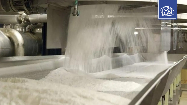 وزير التموين المصري: تحقيق الاكتفاء الذاتي من السكر في 2025 وزيادة توريد القمح المحلي 17%