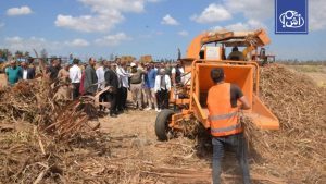 مصر تحول أزمة “السحابة السوداء” إلى ثورة خضراء