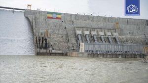 سد النهضة تسبب في خسائر لمصر والسودان