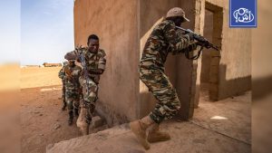 الجيش النيجري يعلن تحييد 53 إرهابياً ومصادرة أسلحة ووقود مهرب