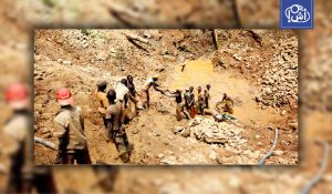 مالي تحجز مسؤولين في شركة هامينغبيرد السابقة بعد اتهامات بتهريب الذهب