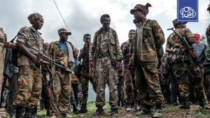 إثيوبيا تتهم إريتريا بتسليح متمردي أمهرة وتصادر آلاف الطلقات