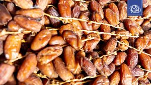 تونس تحقق إنتاجاً قياسياً للتمور