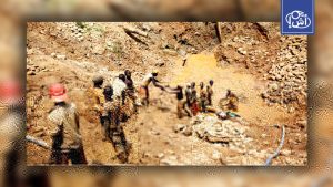 مالي تحجز مسؤولين في شركة هامينغبيرد السابقة بعد اتهامات بتهريب الذهب