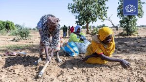الأمم المتحدة تحذر من نفاد المساعدات الغذائية في السودان خلال شهرين