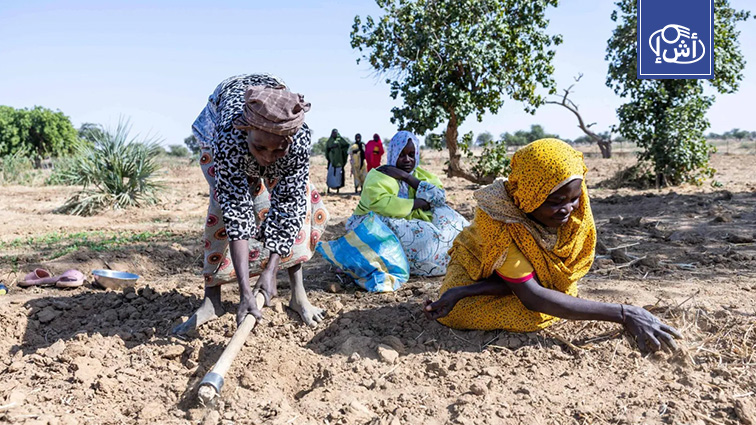 الأمم المتحدة تحذر من نفاد المساعدات الغذائية في السودان خلال شهرين
