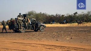 النيجر.. عمليات أمنية واسعة تسفر عن تحييد عشرات الإرهابيين