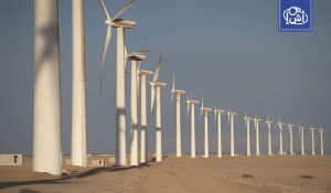 ارتفاع قدرة الطاقة المتجددة في مصر.. والرياح المصدر الأول