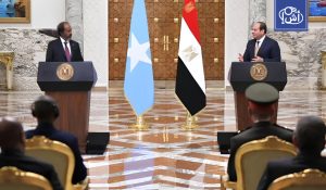 السيسي يؤكد دعم وحدة الصومال ويحذر من أي خطوات تهدد استقرار القرن الإفريقي