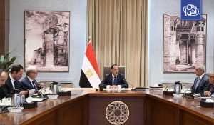 الكشف عن سبب الغاء وزارة قطاع الأعمال في مصر