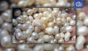 صادرات مصر من الأحجار الكريمة تقفز لتقترب من 7 مليارات دولار خلال 10 أشهر