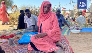 الأمم المتحدة تتهم “الدعم السريع” بارتكاب جرائم حرب في الفاشر