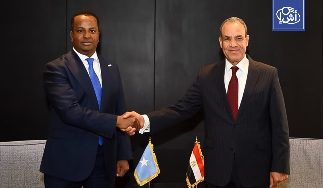 مصر والصومال تبحثان تعزيز الشراكة الاستراتيجية والأمنية والاقتصادية