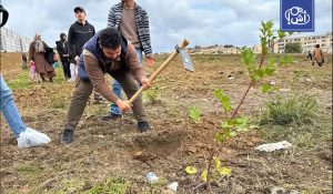 الجزائر.. حملة وطنية لزراعة 5 ملايين شجرة تعزز الغطاء النباتي