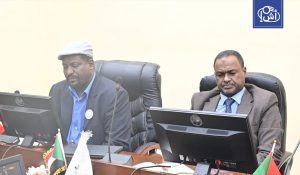 السودان يحذر من تمدد حمى الضنك ونقص حاد في أدوية الملاريا