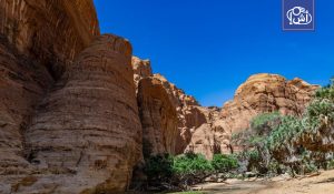 تشاد.. العثور على السائح الفرنسي ميتاً بعد أيام من البحث