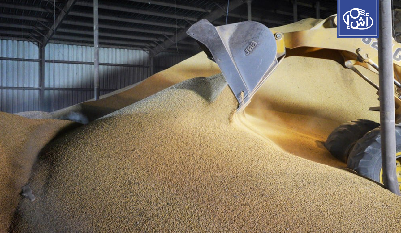 موسكو والقاهرة تبحثان إطلاق بورصة مشتركة للحبوب