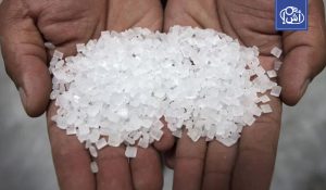 القاهرة تعود إلى تصدير السكر بعد ثلاث سنوات