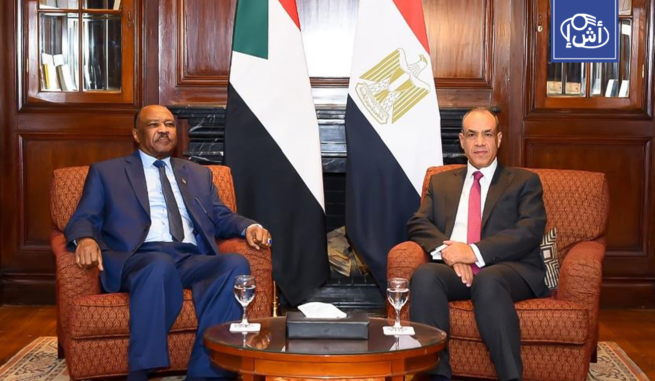 مصر تؤكد دعمها لوحدة السودان وتعزيز التنسيق الإقليمي والدولي