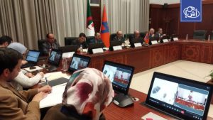 الجزائر والنيجر تعيدان تفعيل شراكة الكهرباء لتعزيز التعاون الطاقوي