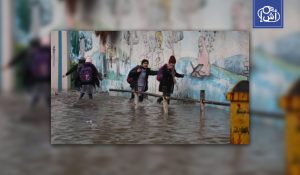 مصر.. تعليق الدوام في المدارس في ثلاث محافظات بسبب التقلبات الجوية الحادة