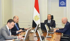 مصر تدعو إلى إنشاء قوة عربية مشتركة لمواجهة التهديدات الإقليمية