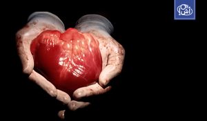 المغرب: 32 ألف مريض ينتظرون “معجزة التبرع”.. و564 متبرعاً فقط في بلد يزيد عن 36 مليون نسمة