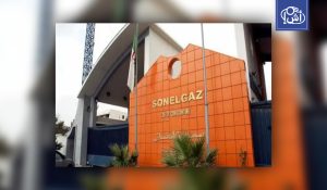 الجزائر تطلق مشروع إنشاء محطات كهرباء في النيجر