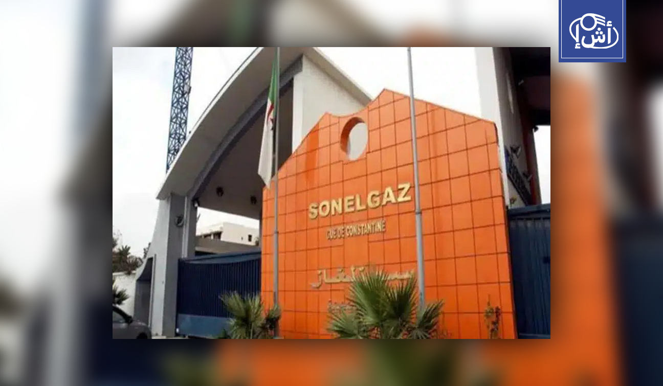 الجزائر تطلق مشروع إنشاء محطات كهرباء في النيجر