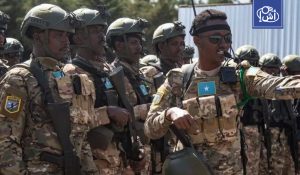 الجيش الصومالي يحرر بلدتين في شبيلي السفلى بدعم إفريقي