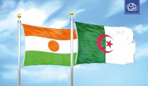 اندفاعة جديدة.. الجزائر تسرّع مشاريع الطاقة والربط مع النيجر