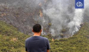 الجزائر تعيد محاكمة 92 متهماً في “ملف حرائق القبائل” بعد نقض أحكام الإعدام