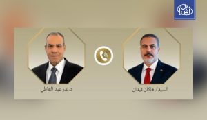 وزيرا خارجية مصر وتركيا يبحثان خفض التصعيد في المنطقة