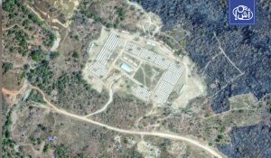 السودان.. “قوات الدعم السريع” تعلن السيطرة على الكرمك