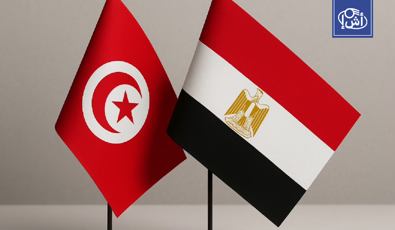 تونس ومصر تبحثان تعزيز التعاون العسكري وتطوير الشراكة